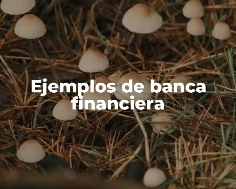 Ejemplos de banca financiera