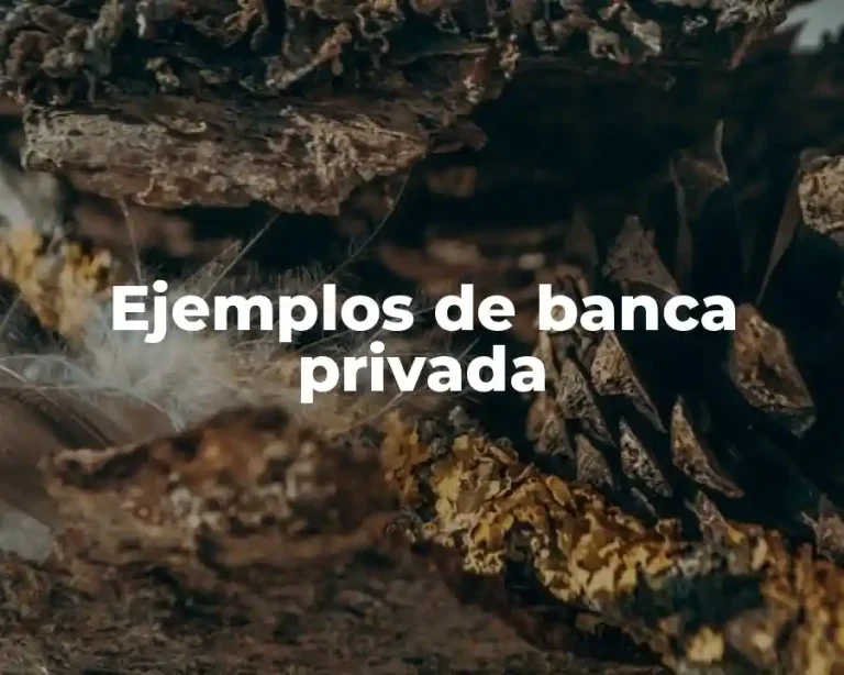 Ejemplos de banca privada