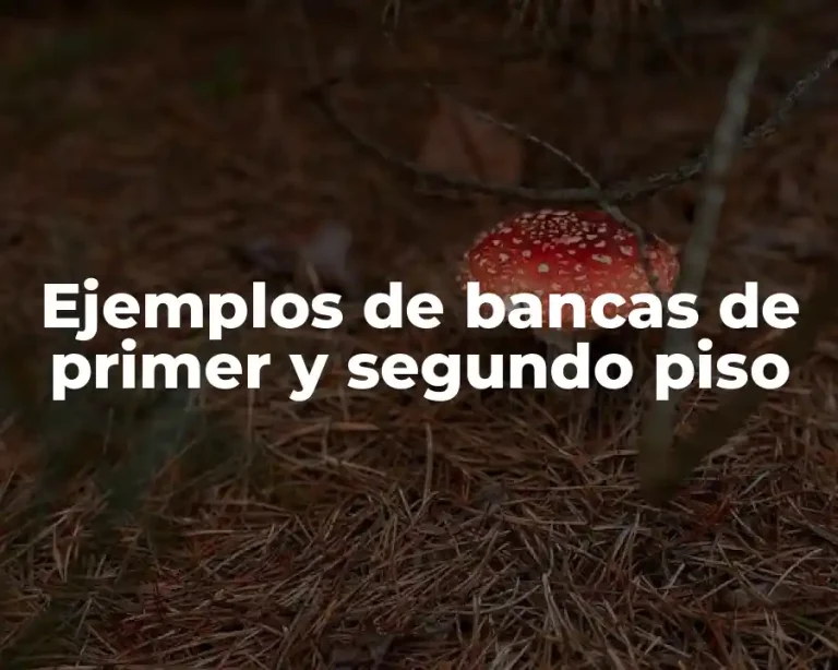 Ejemplos de bancas de primer y segundo piso