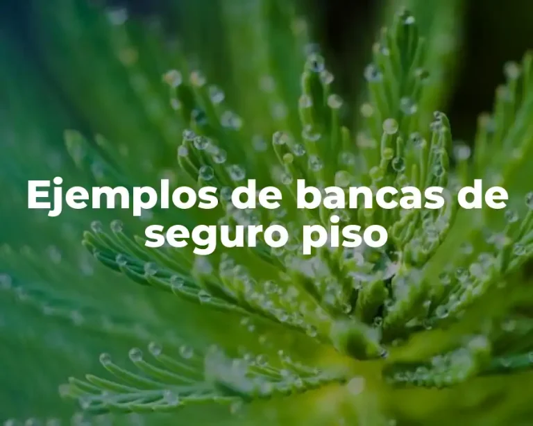 Ejemplos de bancas de seguro piso