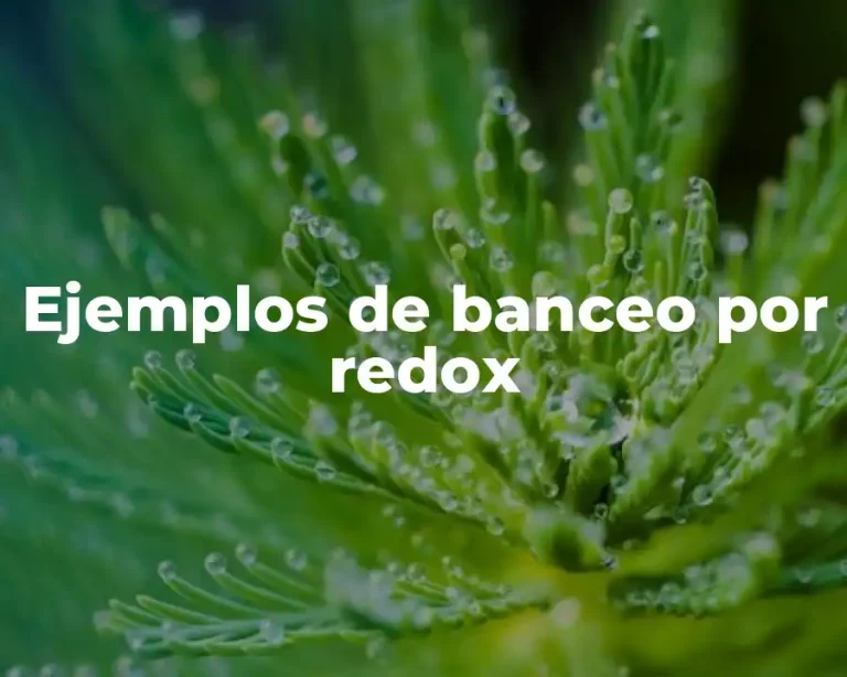 Ejemplos de banceo por redox