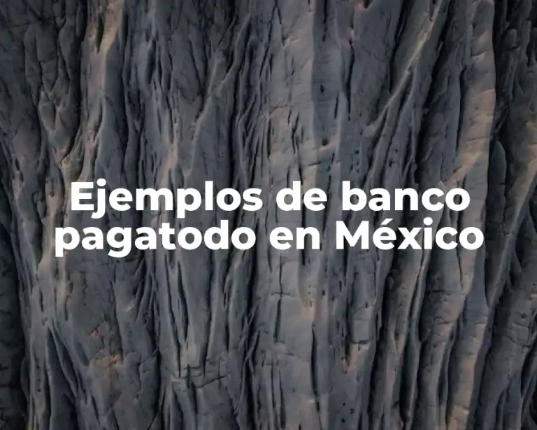 Ejemplos de banco pagatodo en México