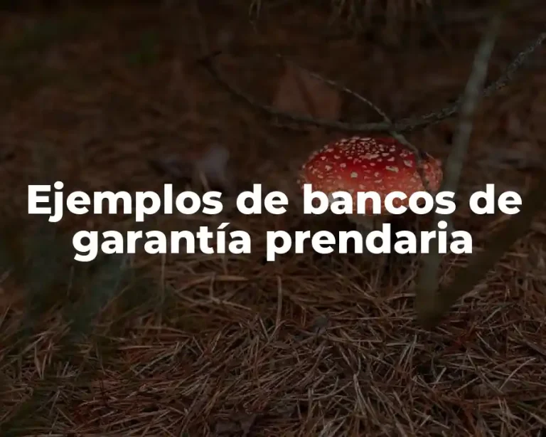 Ejemplos de bancos de garantía prendaria