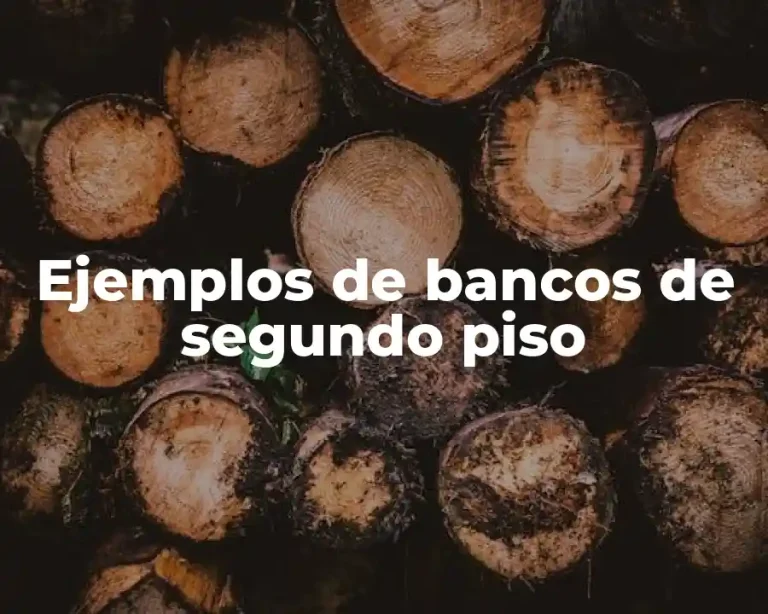 Ejemplos de bancos de segundo piso