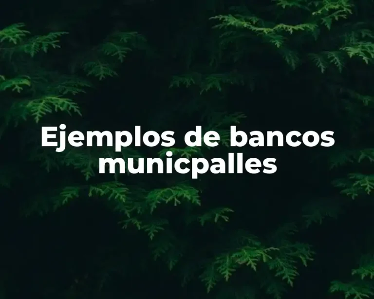 Ejemplos de bancos municpalles