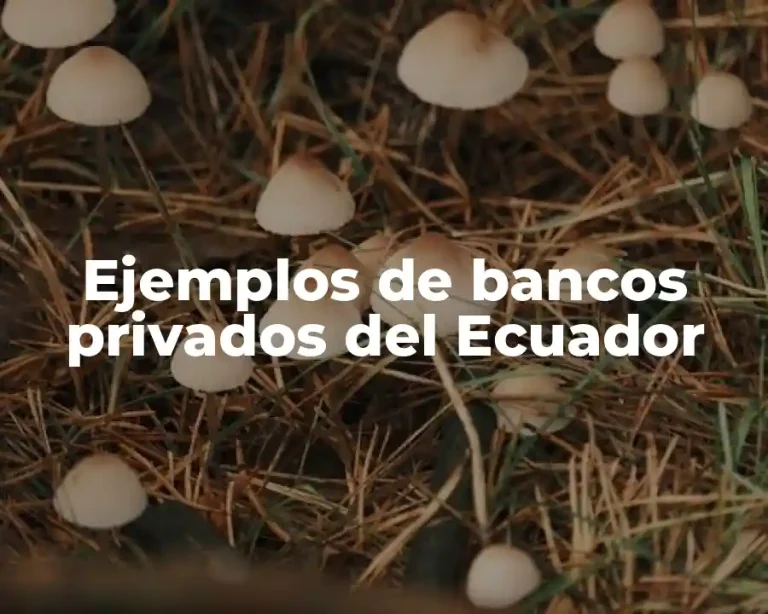 Ejemplos de bancos privados del Ecuador