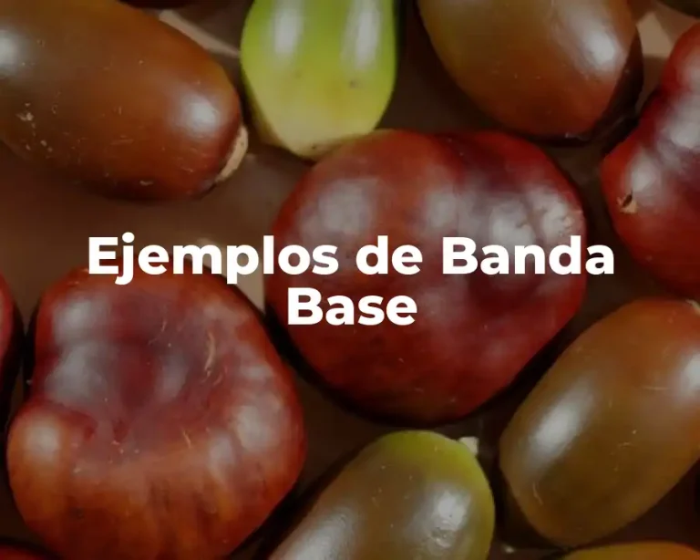 Ejemplos de Banda Base