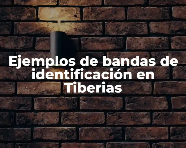 Ejemplos de bandas de identificación en Tiberias