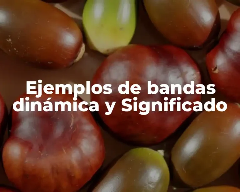 Ejemplos de bandas dinámica y Significado
