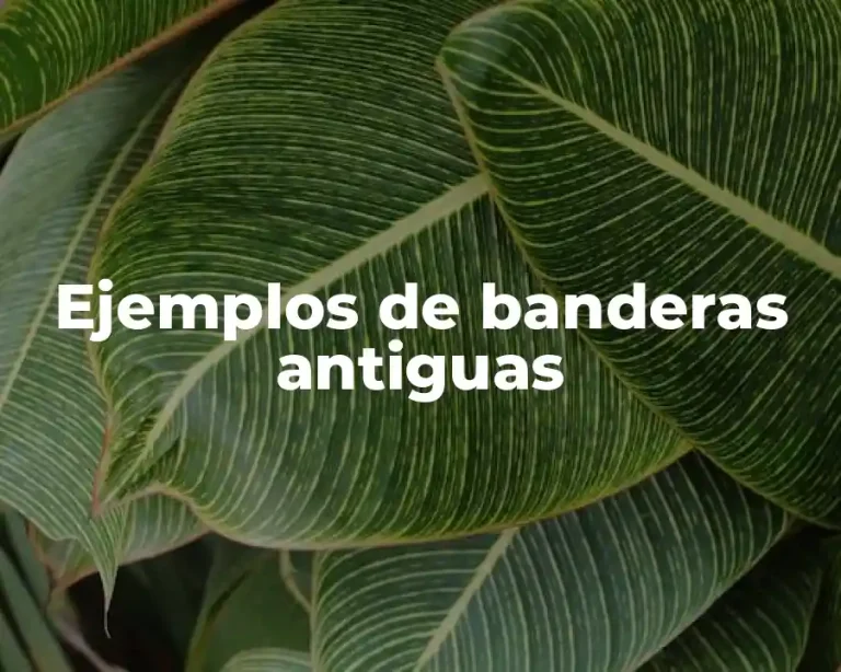 Ejemplos de banderas antiguas