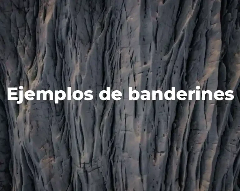 Ejemplos de banderines