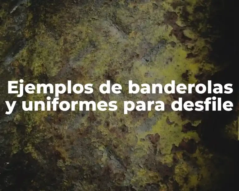 Ejemplos de banderolas y uniformes para desfile