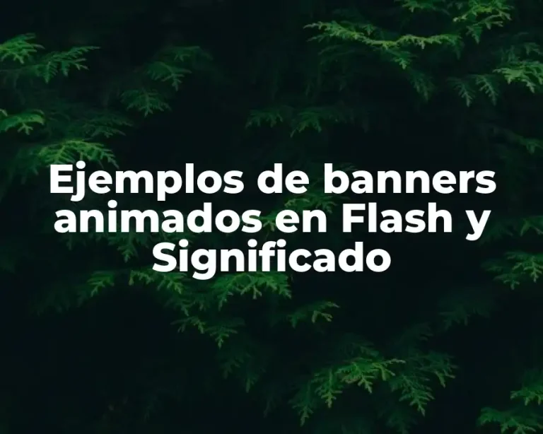 Ejemplos de banners animados en Flash y Significado
