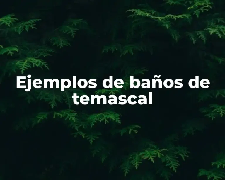 Ejemplos de baños de temascal