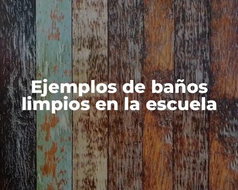 Ejemplos de baños limpios en la escuela
