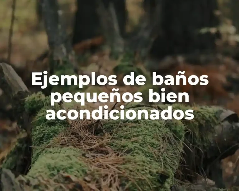 Ejemplos de baños pequeños bien acondicionados