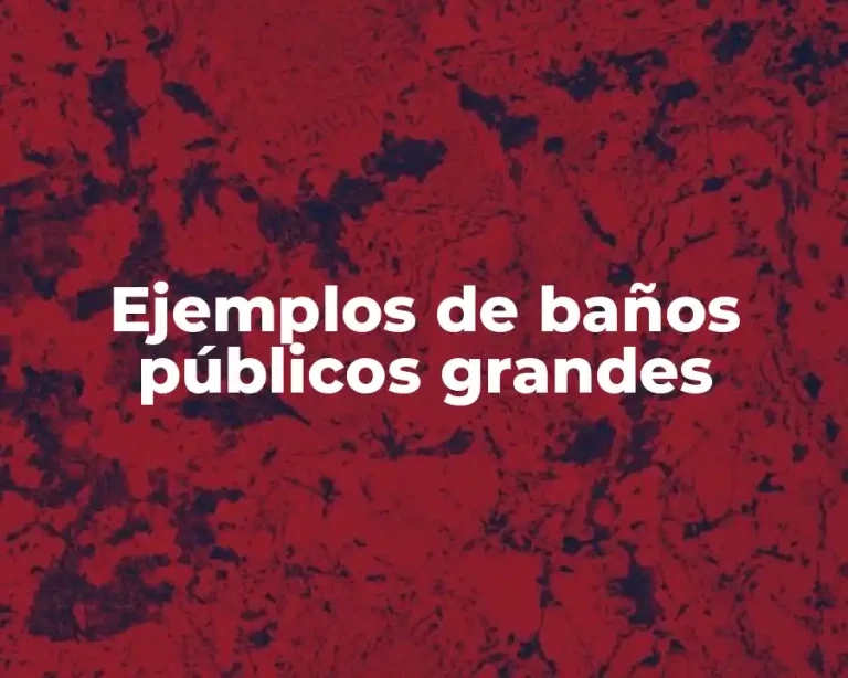 Ejemplos de baños públicos grandes
