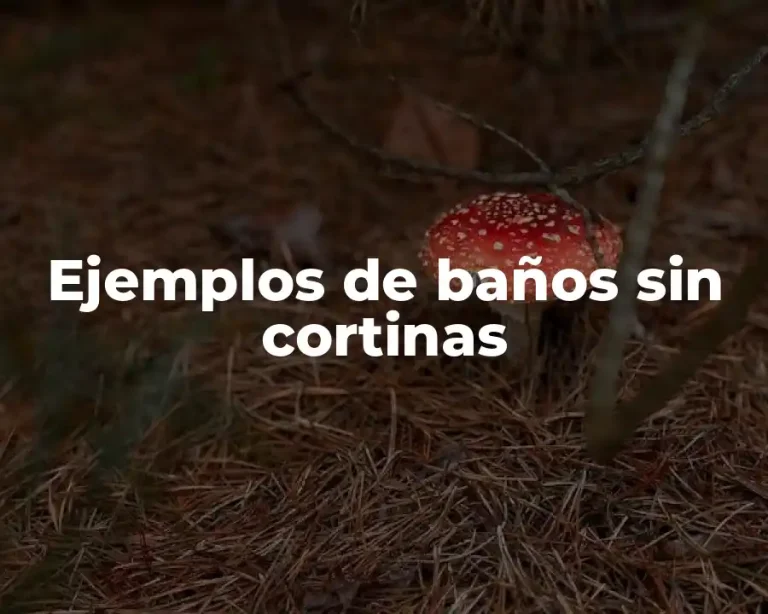 Ejemplos de baños sin cortinas