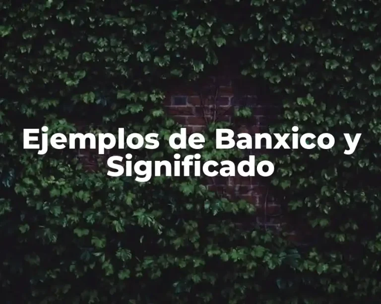 Ejemplos de Banxico y Significado
