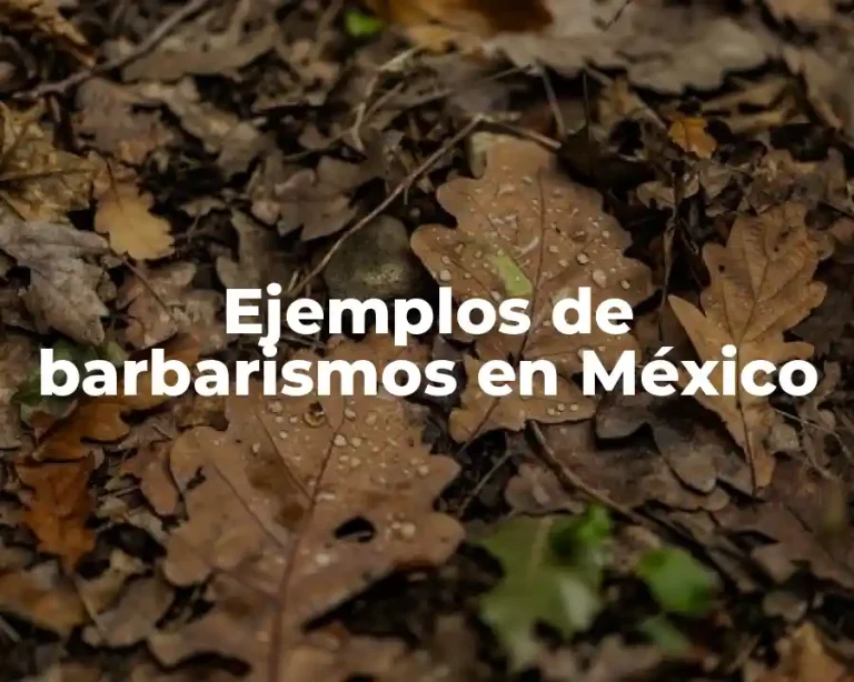Ejemplos de barbarismos en México