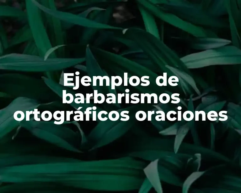 Ejemplos de barbarismos ortográficos oraciones