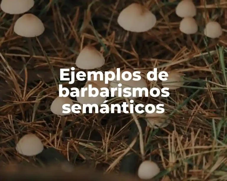 Ejemplos de barbarismos semánticos