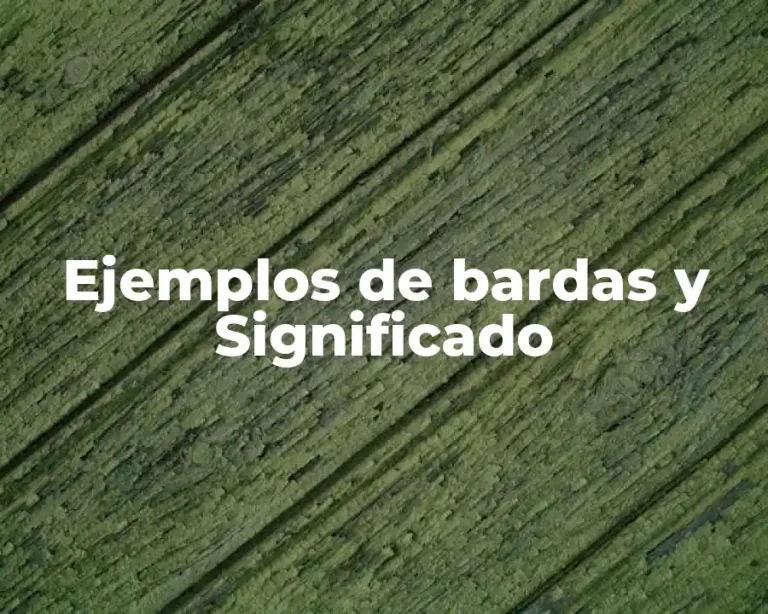 Ejemplos de bardas y Significado