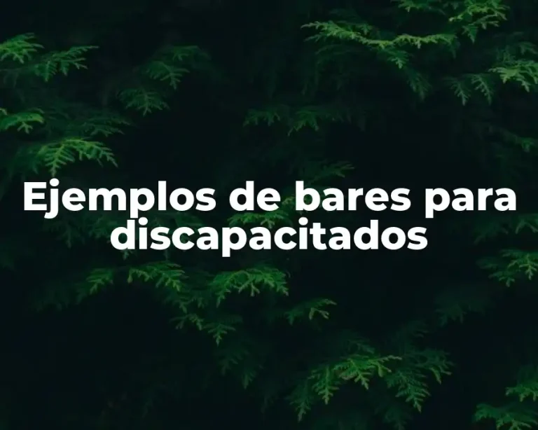 Ejemplos de bares para discapacitados