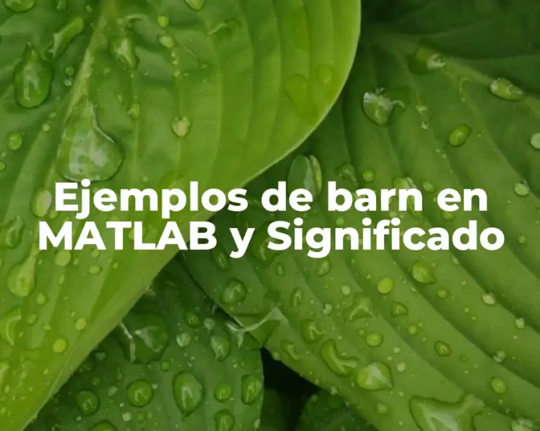 Ejemplos de barn en MATLAB y Significado