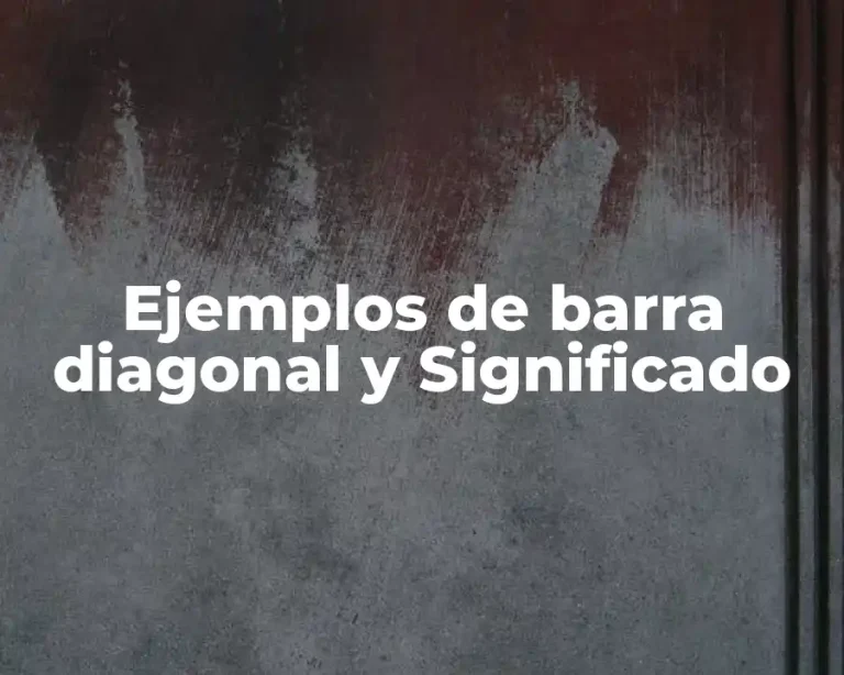 Ejemplos de barra diagonal y Significado