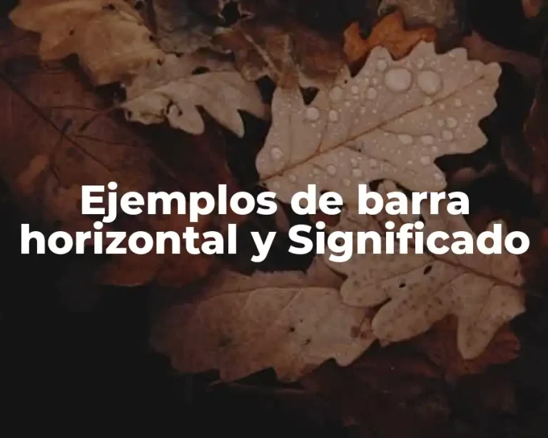 Ejemplos de barra horizontal y Significado