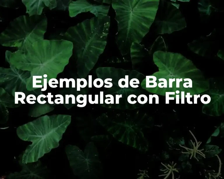 Ejemplos de Barra Rectangular con Filtro