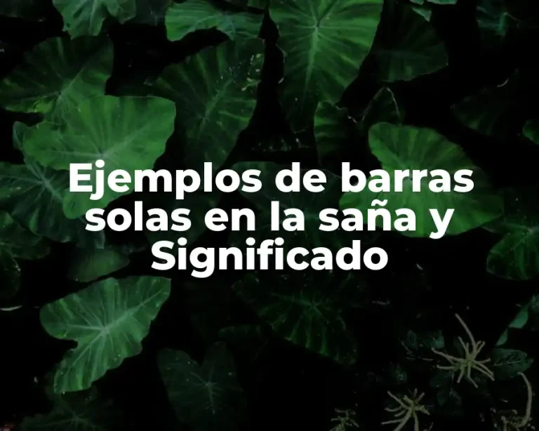 Ejemplos de barras solas en la saña y Significado