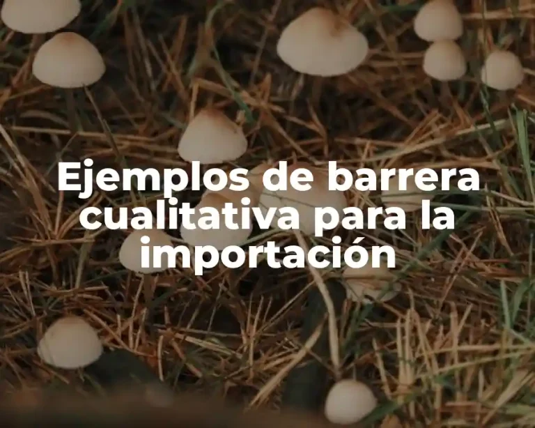 Ejemplos de barrera cualitativa para la importación