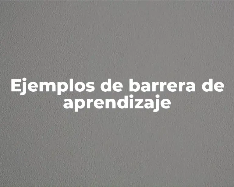 Ejemplos de barrera de aprendizaje