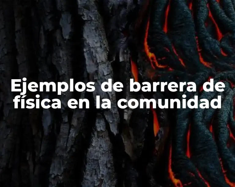 Ejemplos de barrera de física en la comunidad