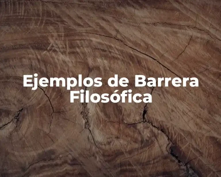 Ejemplos de Barrera Filosófica