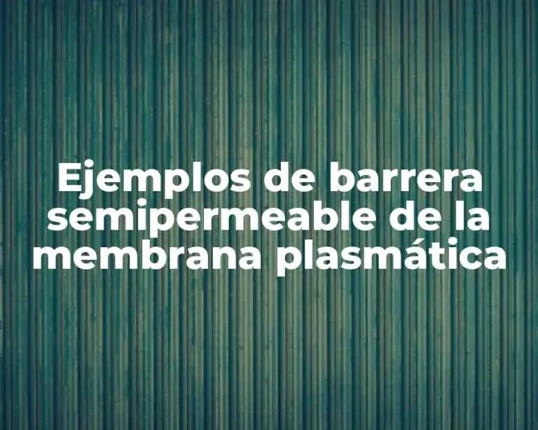 Ejemplos de barrera semipermeable de la membrana plasmática