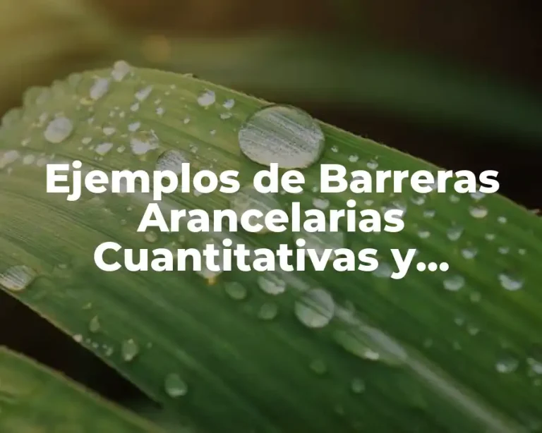 Ejemplos de Barreras Arancelarias Cuantitativas y Significado