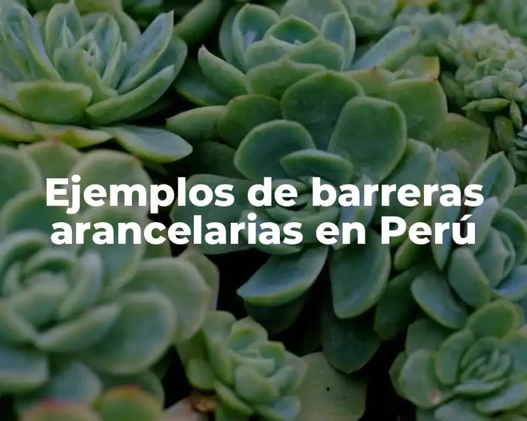 Ejemplos de barreras arancelarias en Perú