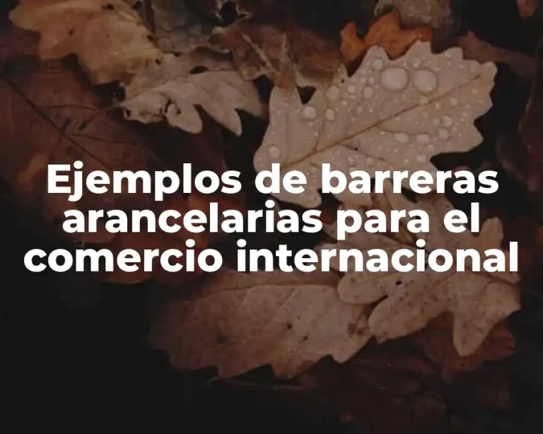 Ejemplos de barreras arancelarias para el comercio internacional