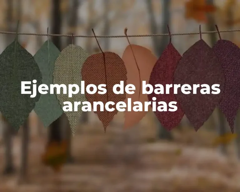 Ejemplos de barreras arancelarias