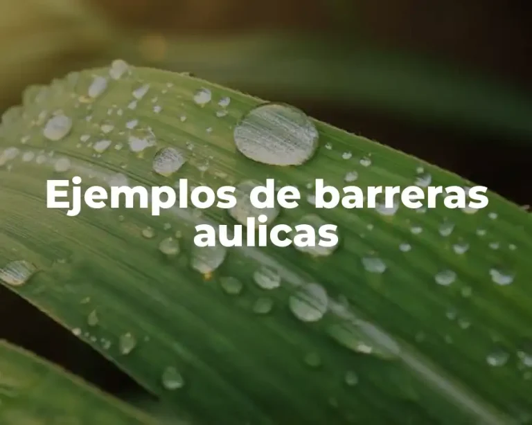 Ejemplos de barreras aulicas