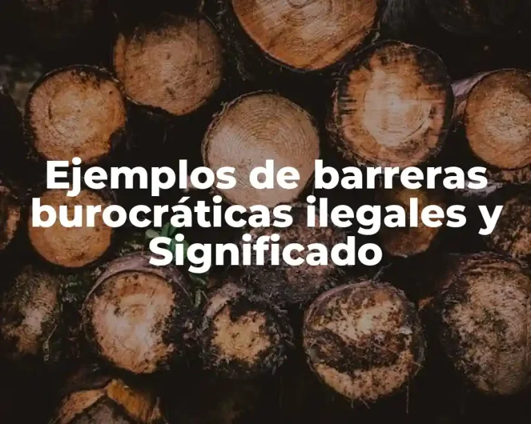 Ejemplos de barreras burocráticas ilegales y Significado
