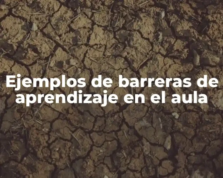 Ejemplos de barreras de aprendizaje en el aula