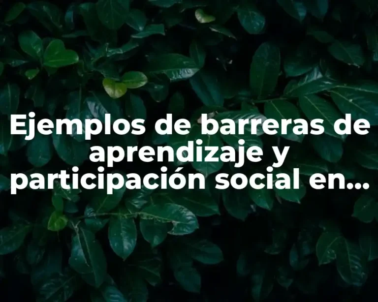 Ejemplos de barreras de aprendizaje y participación social en primaria
