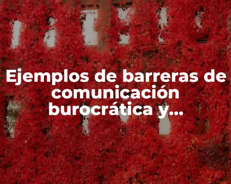 Ejemplos de barreras de comunicación burocrática y administrativa
