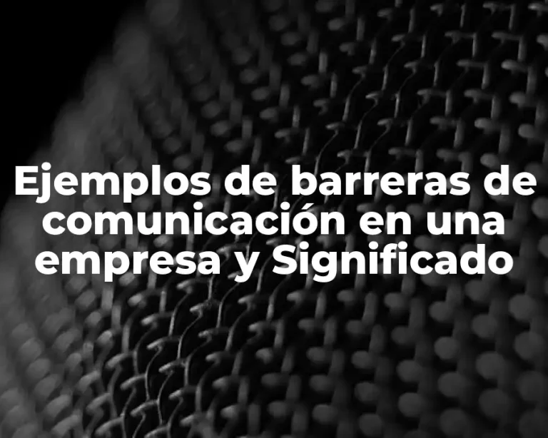 Ejemplos de barreras de comunicación en una empresa y Significado