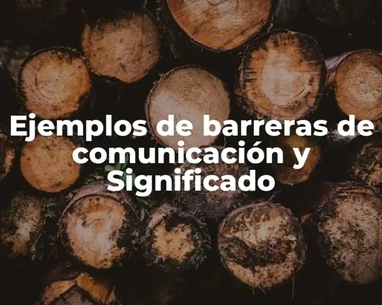 Ejemplos de barreras de comunicación y Significado