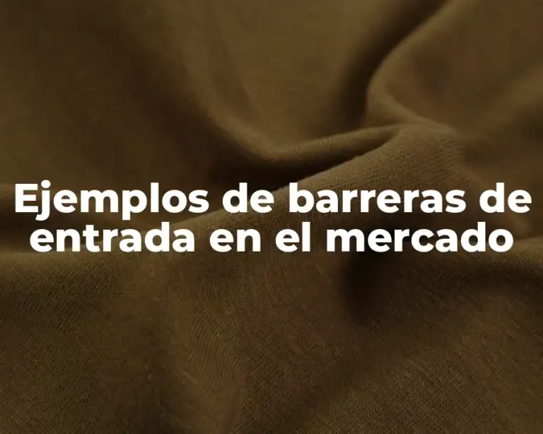 Ejemplos de barreras de entrada en el mercado